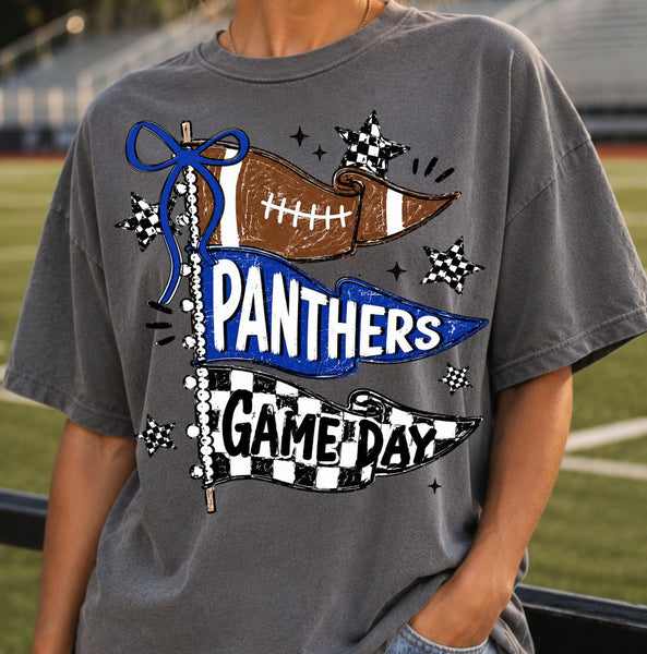 Game Day Panthers Flag Tee
