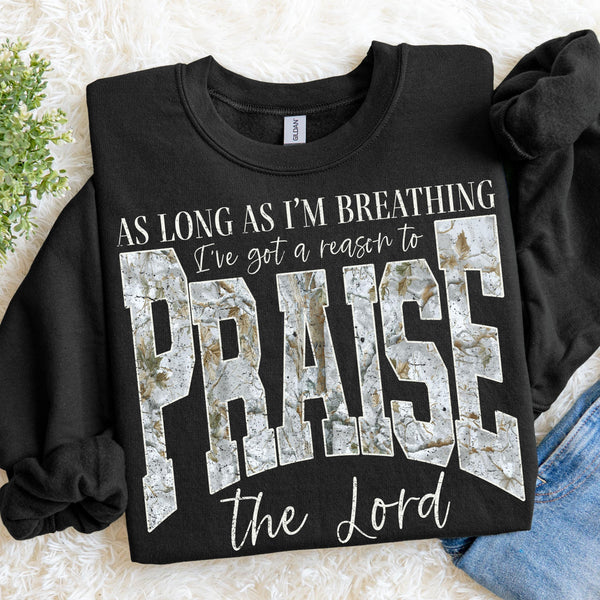 Praise the Lord Sweatshirt, Christian Graphic Crewneck, Faith Based Apparel, Inspirational Christian Shirt, Religious Gift