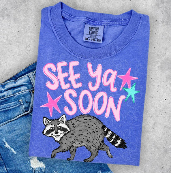 See Ya Soon Raccoon Graphic Tee, Retro Stars Lake Day Shirt