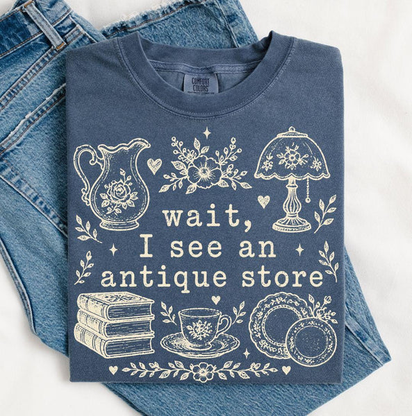 Antique Store Graphic Shirt, Vintage Comfort Colors Tee, Thrifting Cottagecore