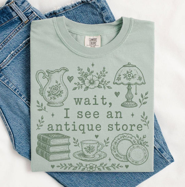 Antique Store Graphic Shirt, Vintage Comfort Colors Tee, Thrifting Cottagecore