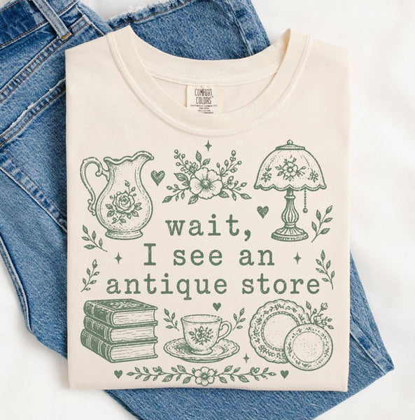 Antique Store Graphic Shirt, Vintage Comfort Colors Tee, Thrifting Cottagecore
