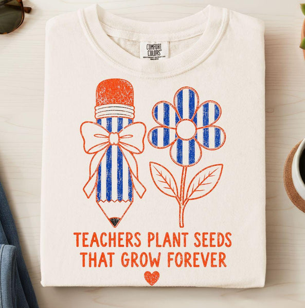 Teachers Plant Seeds That Grow Forever Shirt, Comfort Colors Teacher Tee, Teacher Appreciation Gift