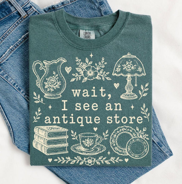 Antique Store Graphic Shirt, Vintage Comfort Colors Tee, Thrifting Cottagecore